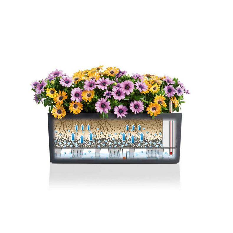 le_balconera-color50_product_addi_sws